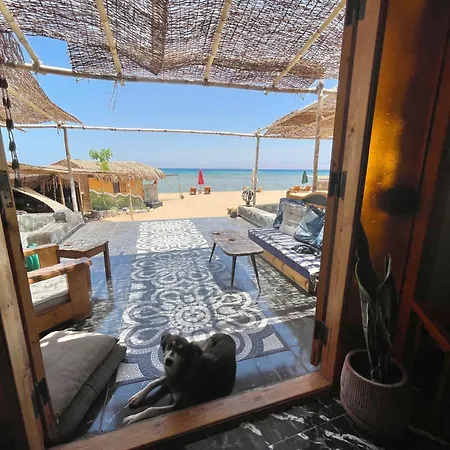 Live The Bedouinlife Hotel