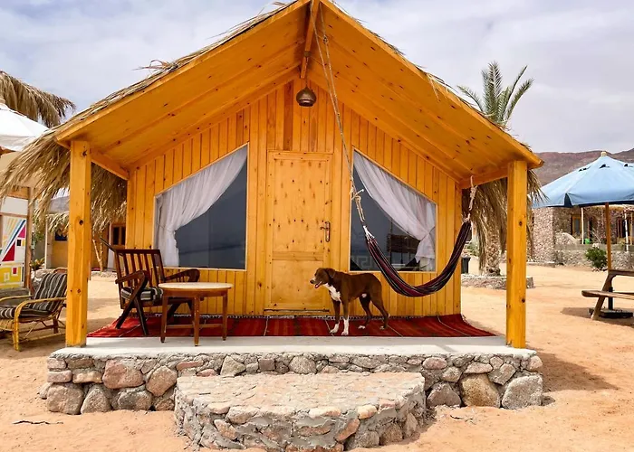 Live The Bedouinlife Kamp alanı Nuweiba`