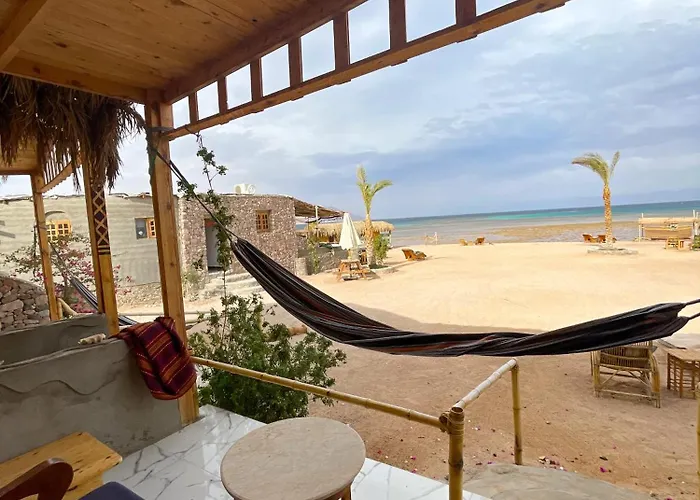 Live The Bedouinlife *