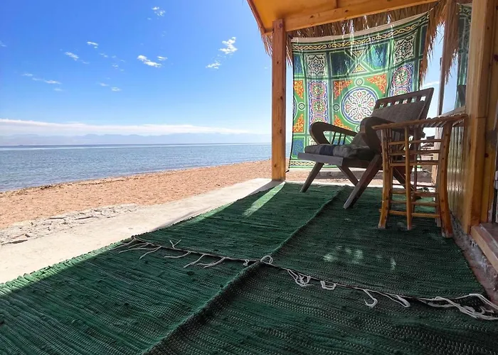 Live The Bedouinlife *