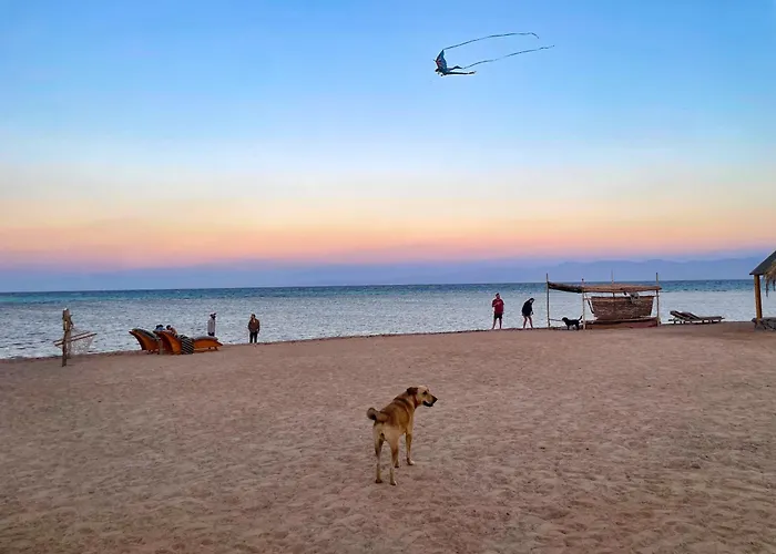 Live The Bedouinlife * Nuweiba`