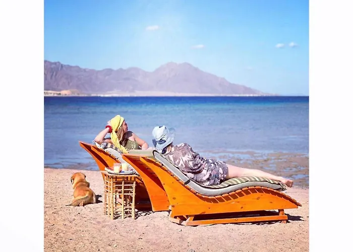 Live The Bedouinlife * Nuweiba`