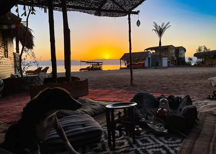 Kamp alanı Live The Bedouinlife *