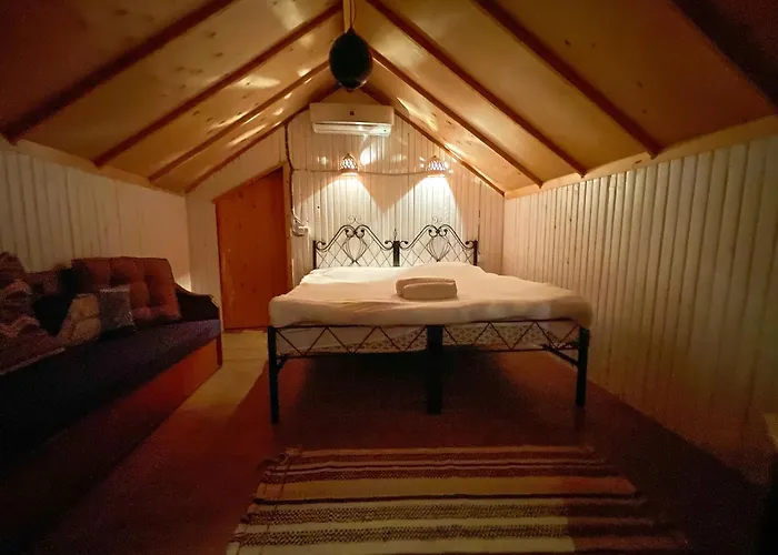 Live The Bedouinlife