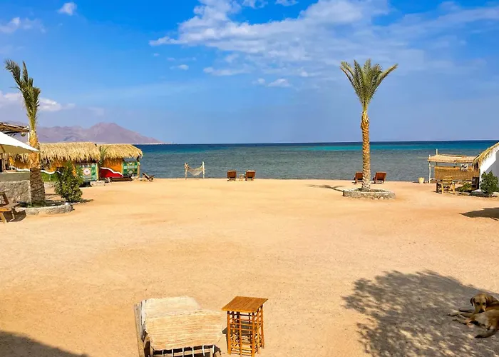 Live The Bedouinlife * Nuweiba`