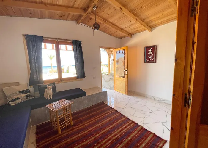 Live The Bedouinlife Kamp alanı Nuweiba`