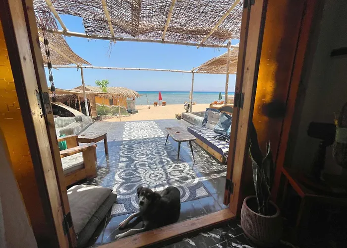 Live The Bedouinlife Kamp alanı Nuweiba`