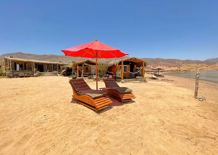 Live The Bedouinlife *