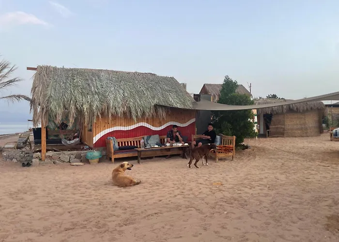 Kamp alanı Live The Bedouinlife *